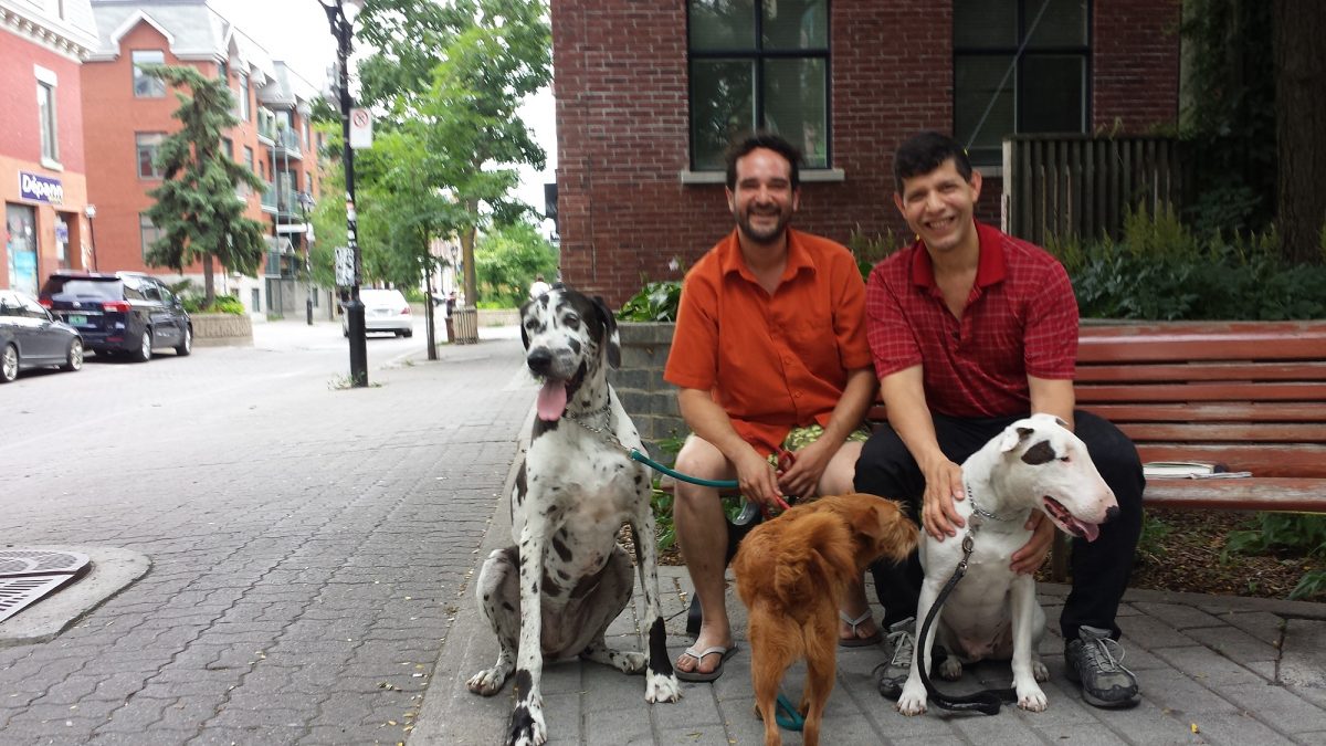 How to Make a Living as a Dog Walker in 2025 (Earn Up to $75K/Year)