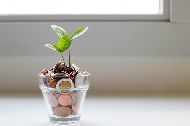 Plant growing on a pot of coins