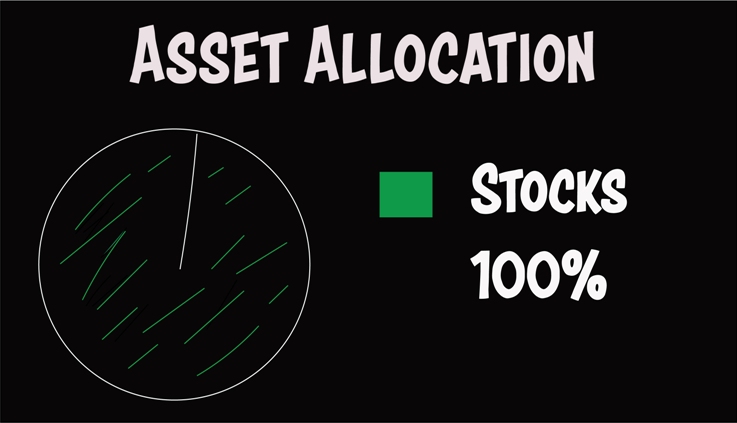Asset Allocation, Stocks 100%