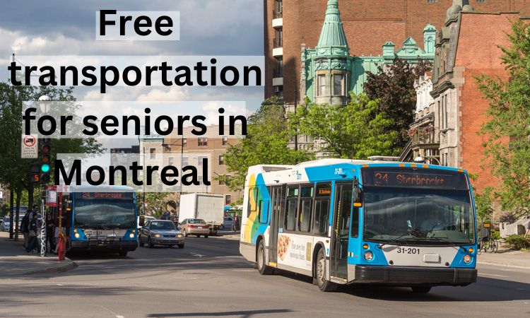 Free transportation for seniors in Montreal