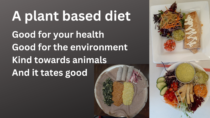 A plant based diet is good for your health, for the plane, kind towards animals, and it taste good