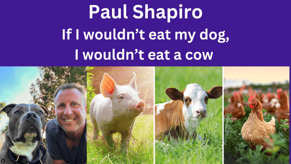 Paul Shapiro, Trailblazing the food industry