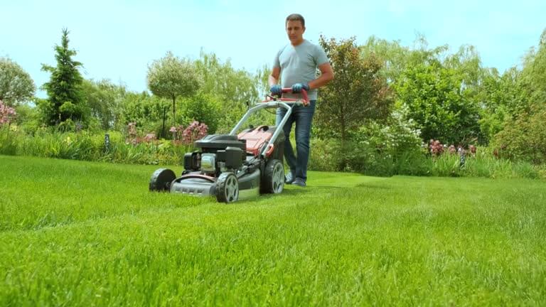 Perfect Stripes, Less Effort How a Push Mower Can Transform Your Lawn