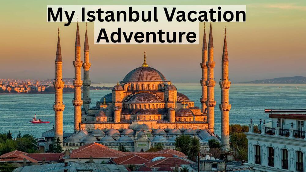 My Vacation to Istanbul Dancing, Discoveries, and Cats