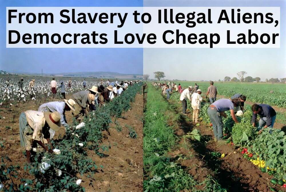 Democrat Labor Policies: From Slavery to Illegal Aliens, They Love Cheap Labor