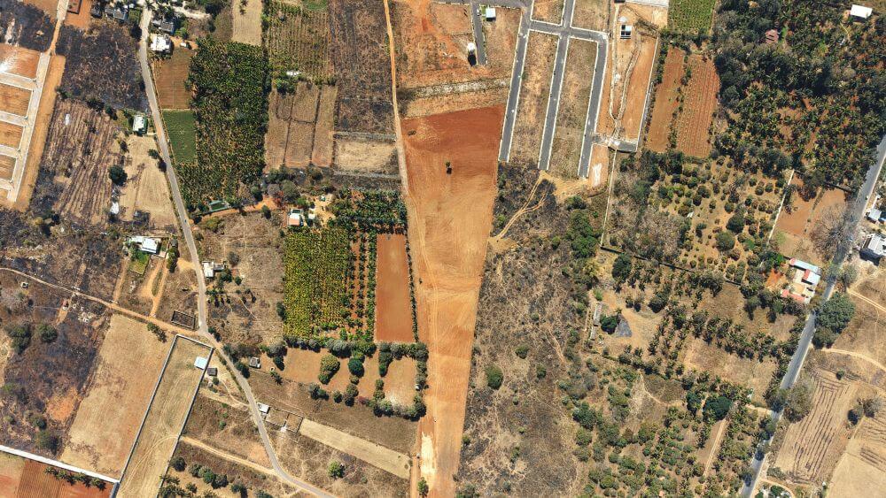 From Overgrowth to Opportunity Maximizing Land Value