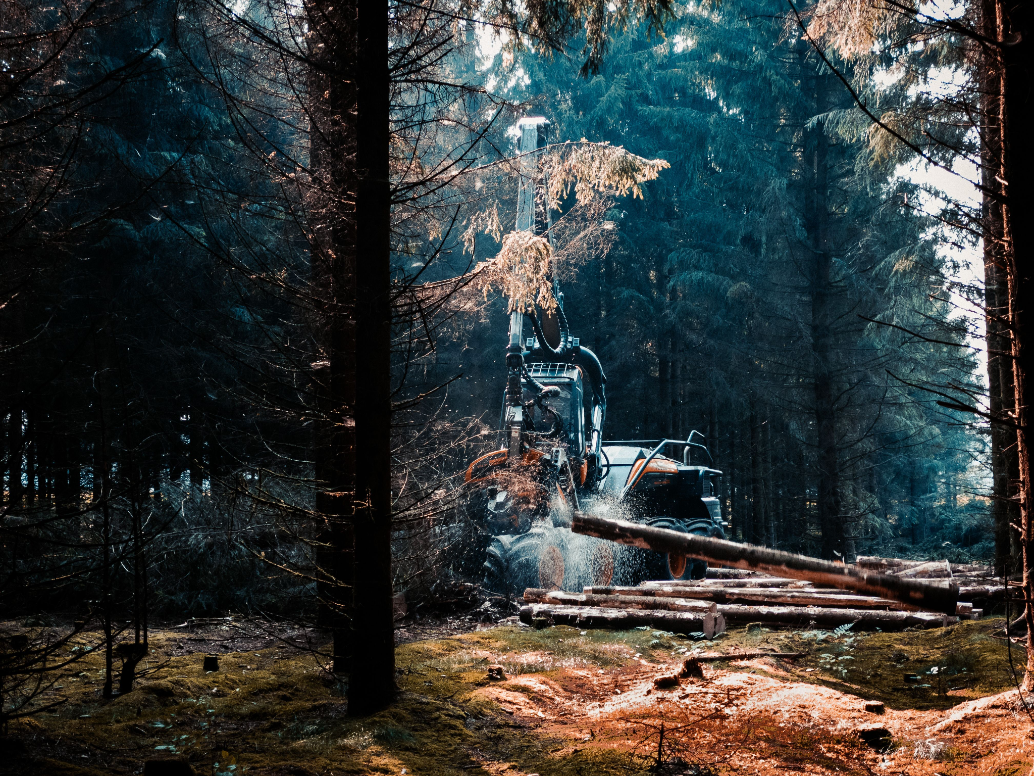 How to Turn Unused Land Into a Valuable Asset