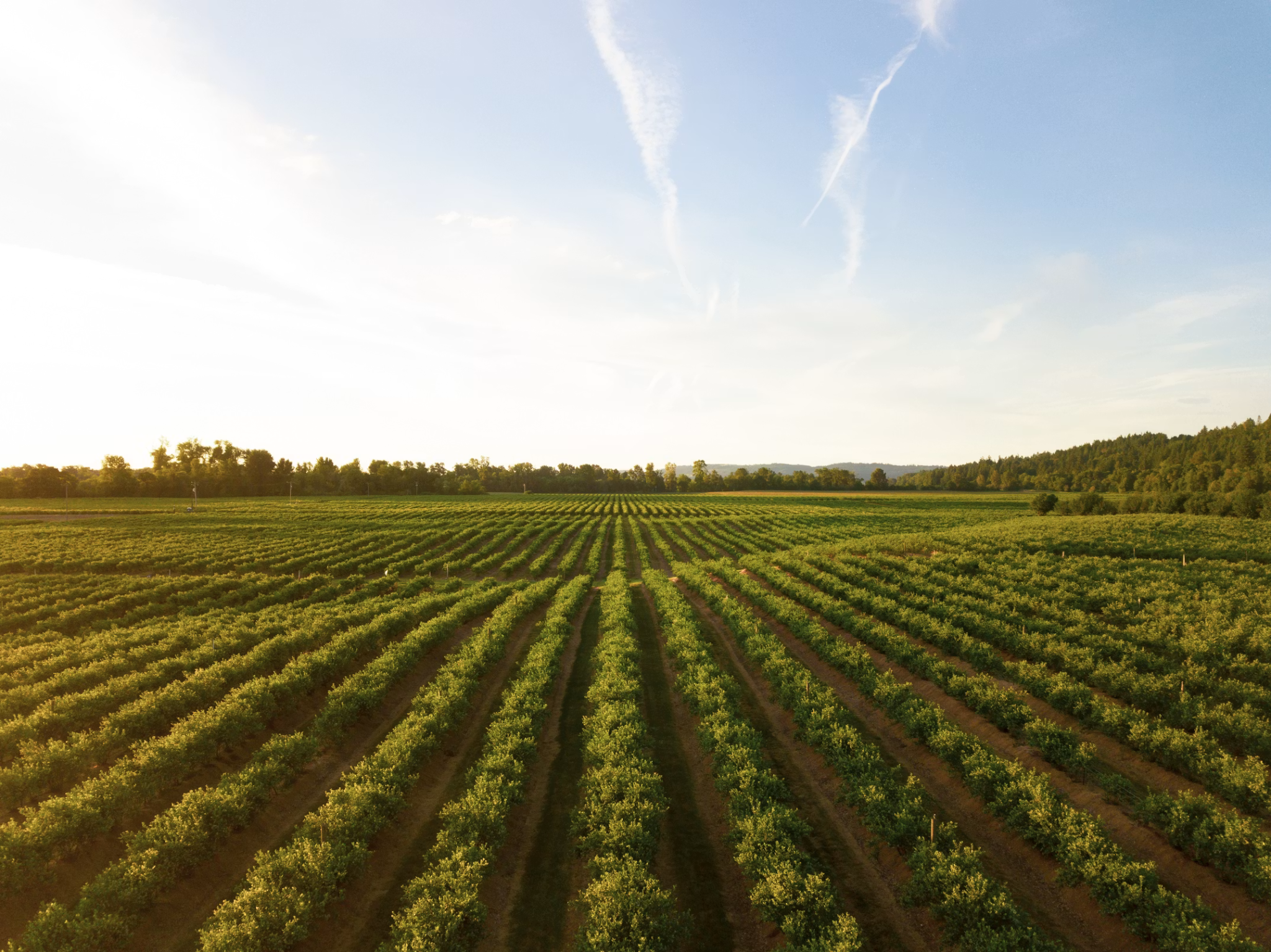Why Every Successful Farm Needs a Growth Plan and an Exit Plan