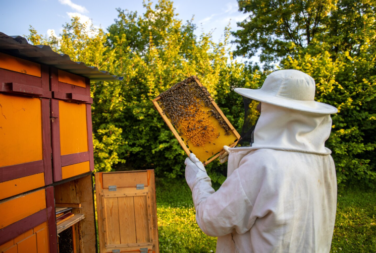Owning Land: How To Generate Income While Safeguarding Nature