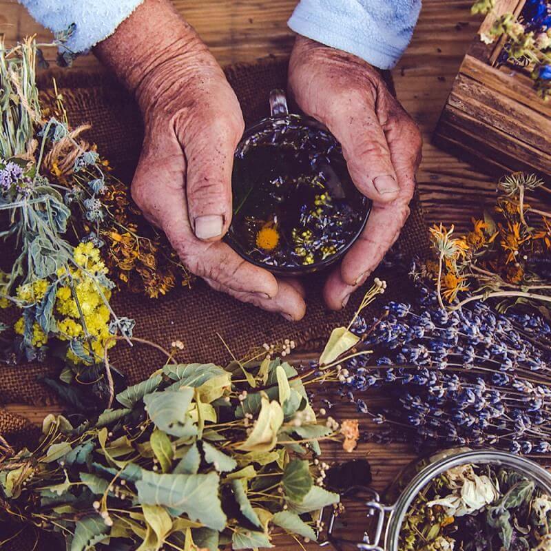 5 Questions to Ask Before Choosing a Wholesale Herbs Supplier