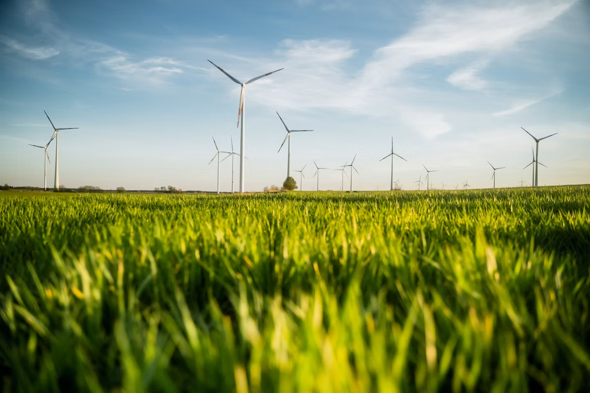 How Green Practices Drive Business Growth
