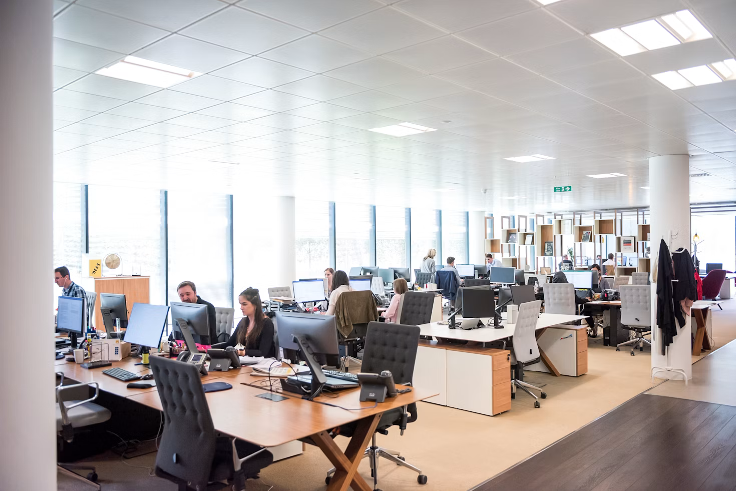 Optimizing Office Space for Peak Productivity