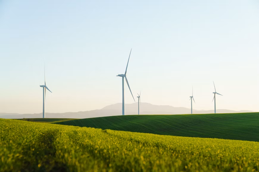 Sustainable Investing: Beyond Greenwashing