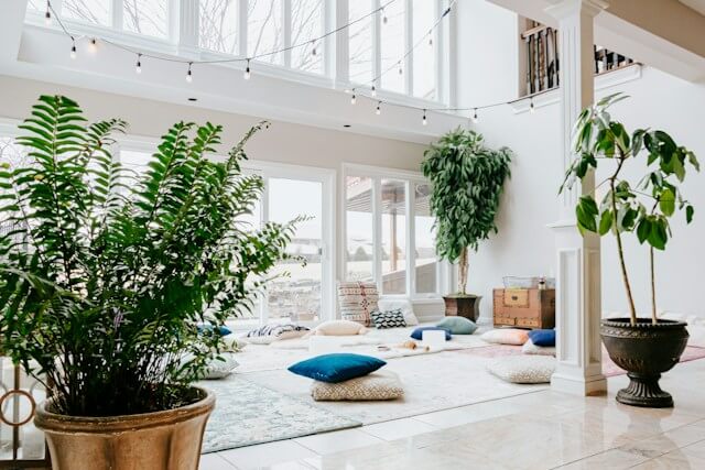 Real Estate Design Trends: Integrating Wellness into Modern Architecture