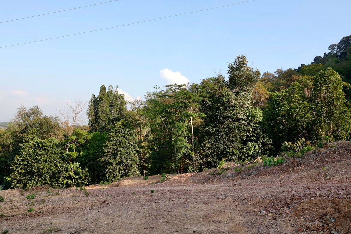 What to Consider Before Investing in Undeveloped Land