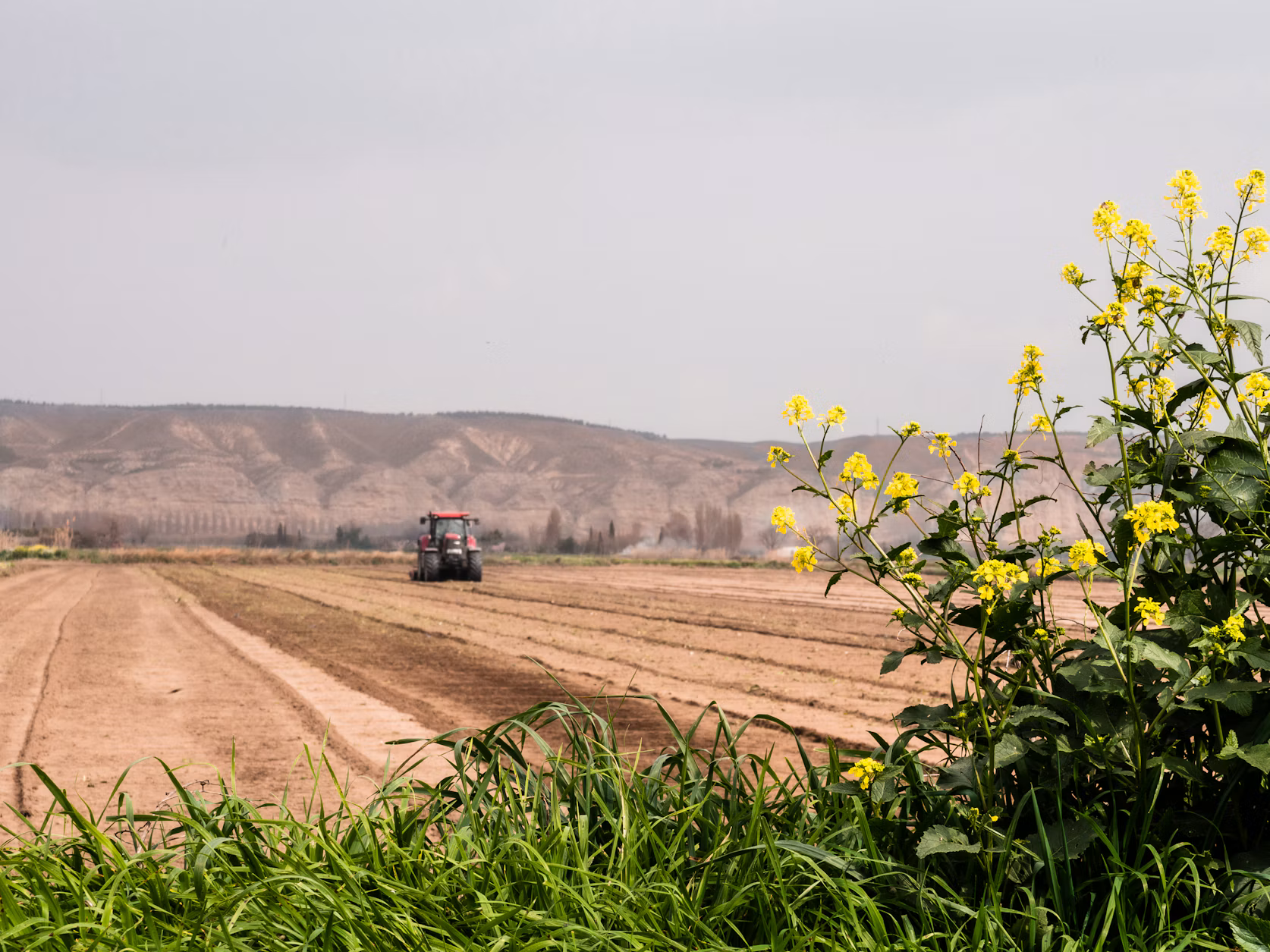 How Raw Land Improvements Drive Real Estate Value